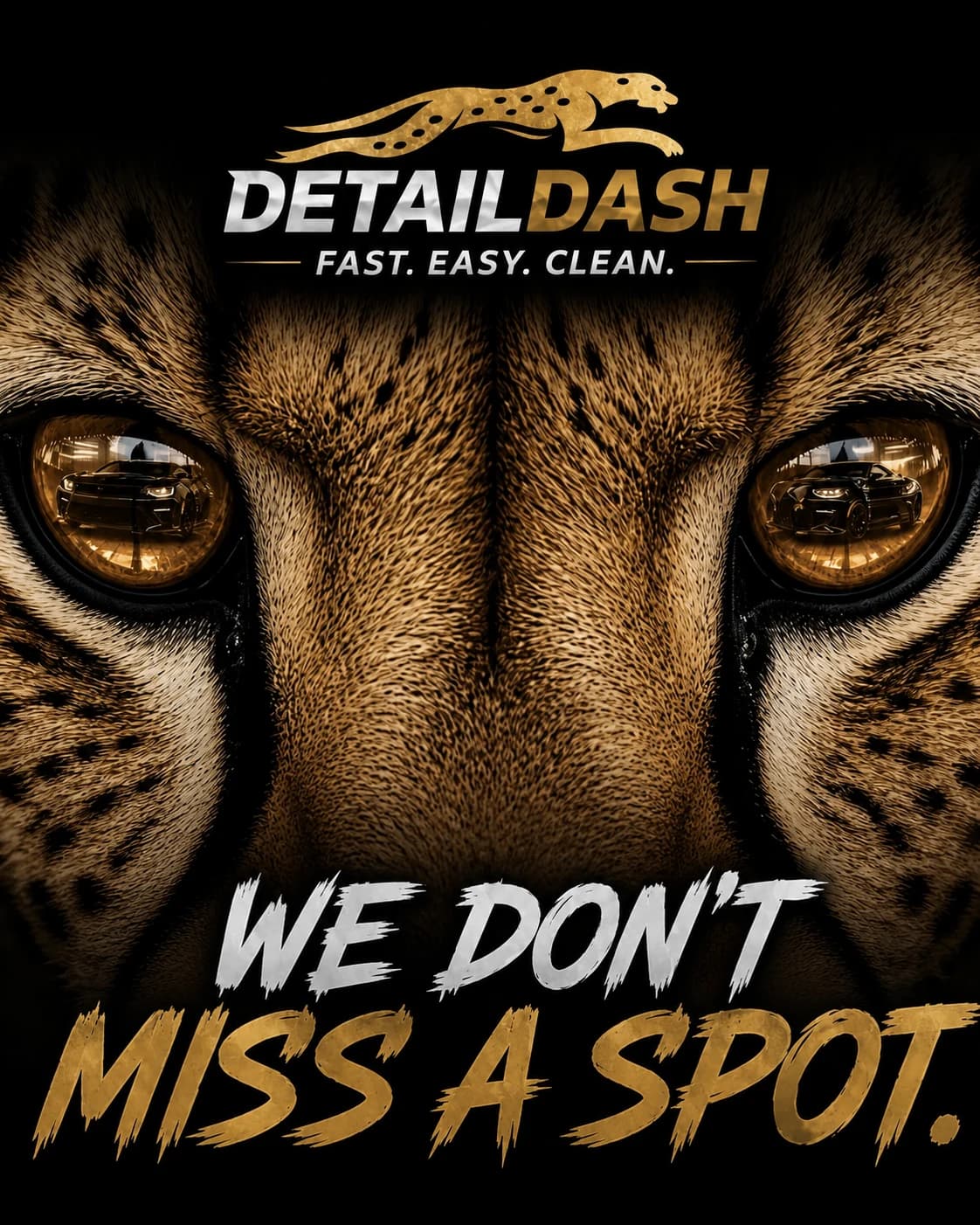 Detail Dash — We Don't Miss A Spot